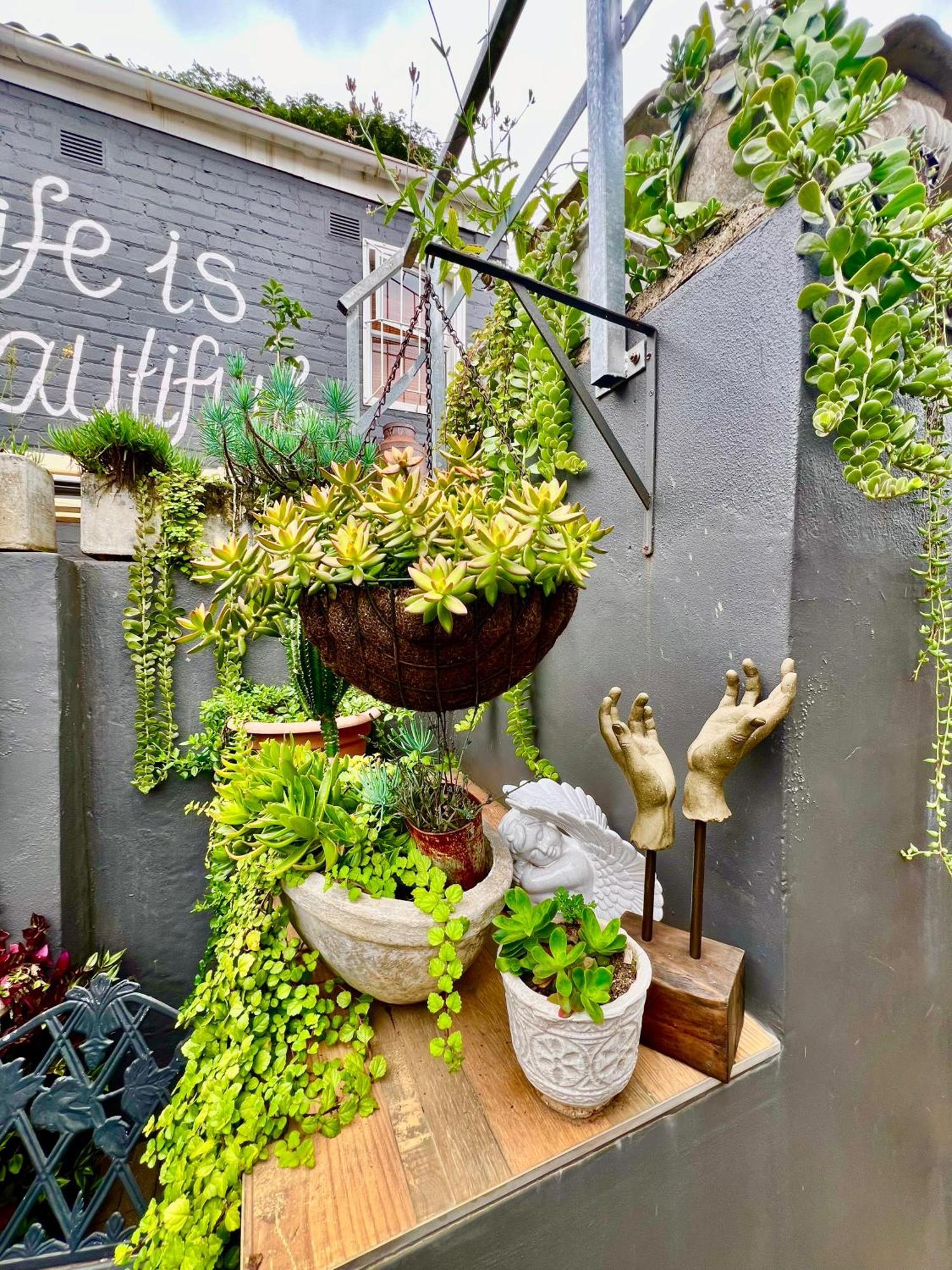 Terebinte Bed & Breakfast Durban Ngoại thất bức ảnh